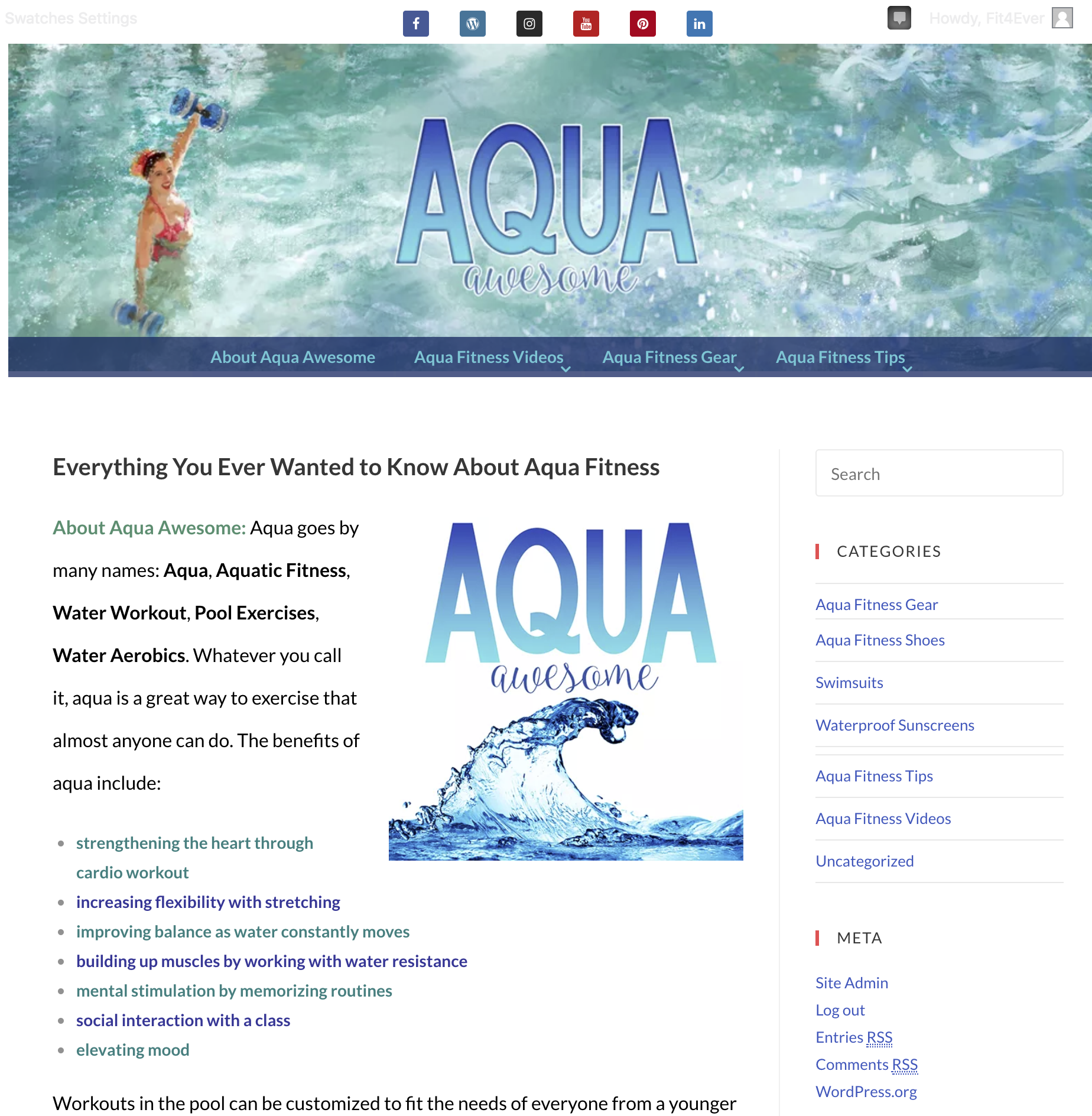 web site design aqua awesome